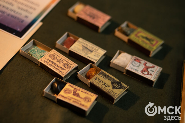 От Луны и Венеры до книг и винила. В Омске прошла "Библионочь"