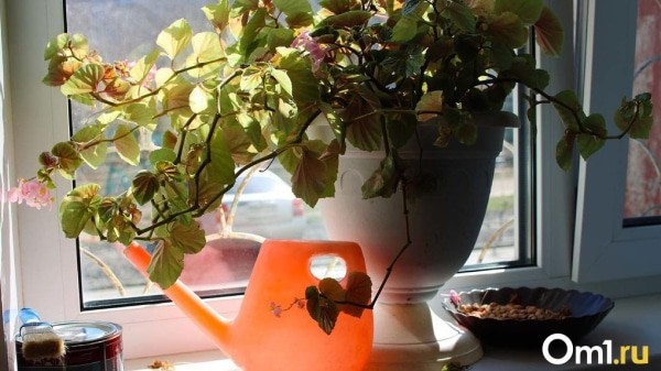 На следующей неделе Омская область окажется в зоне самого мощного циклона в Сибири