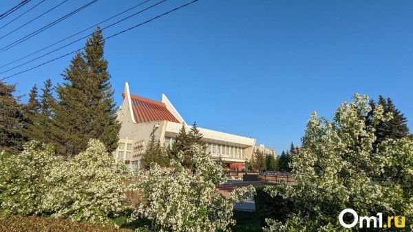 Есть угроза урожаю: омичей предупредили об опасном явлении погоды Есть угроза урожаю: омичей предупредили об опасном явлении погоды