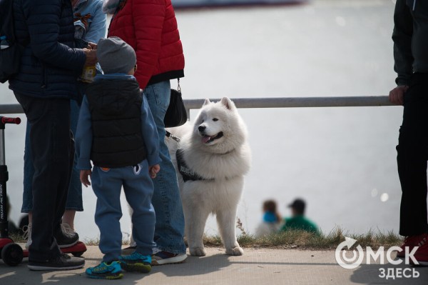 Залпами из пушек отметили 9 Мая в Омской крепости