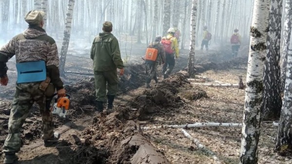 Вырывался из кольца: омские огнеборцы ликвидировали крупный пожар в Крутинском районе Вырывался из кольца: омские огнеборцы ликвидировали крупный пожар в Крутинском районе