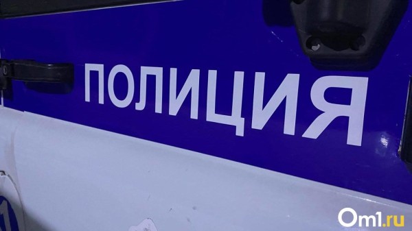 На трассе в Новосибирске сбили лося