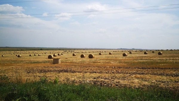 Омские поля оказались под угрозой из-за опасного метеоявления Омские поля оказались под угрозой из-за опасного метеоявления
