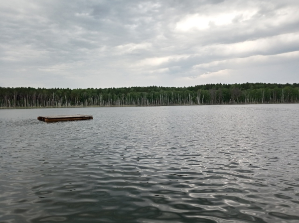 
									Вместо Сочи и Турции: зачем в Муромцево едут со всей России? 