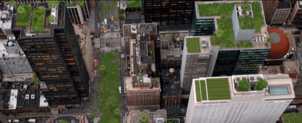 11 впечатляющих документалок о проблемах экологии и их решении