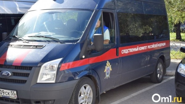 Глава СКР Бастрыкин поручил доложить о расследовании дела сироты из Омской области