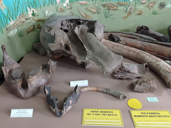 
									Вместо Сочи и Турции: зачем в Муромцево едут со всей России? 