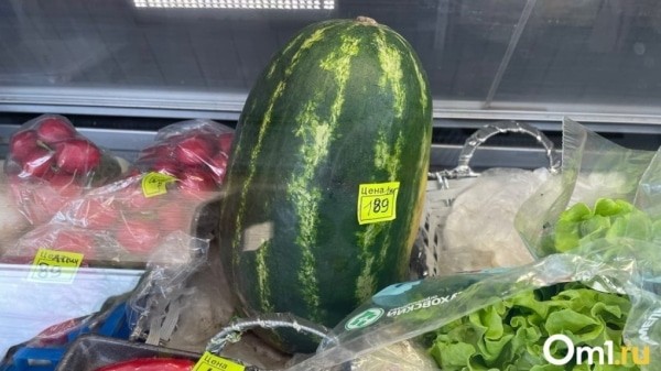 В арбузах для омичей нашли сорняк, который способен убить домашних животных