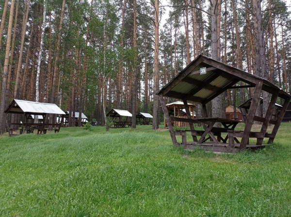 
									Вместо Сочи и Турции: зачем в Муромцево едут со всей России? 