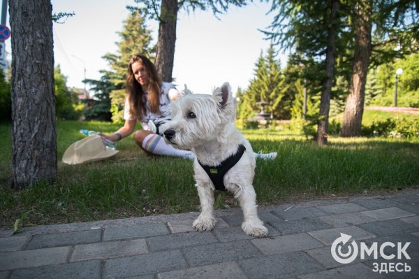 Уличные душевые, освежающие пластыри и бананы. Чем спасались от жары на "ЗаБеге"
