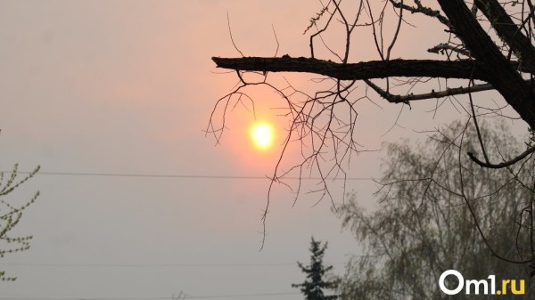 В Омской области действует режим «чёрного неба» В Омской области действует режим «чёрного неба»