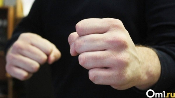 В Новосибирске из-за нападения собаки на людей завязалась драка