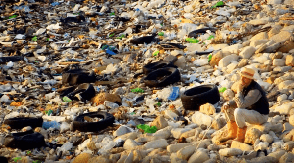 11 впечатляющих документалок о проблемах экологии и их решении