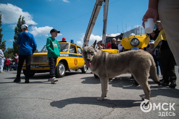 Гимн России в исполнении Дубцовой, парад национальностей и гастрономические изыски. Чем запомнится День России в Омске