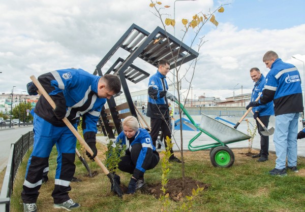 
									«Газпром нефть» поддержит развитие Омской области 