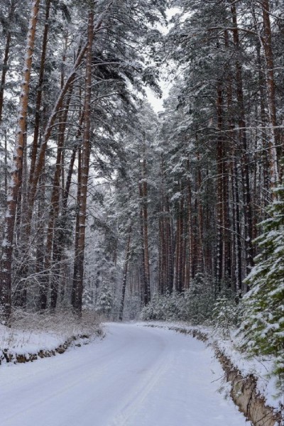 Омский внутренний туризм: выходные в краю пяти озер
Омский внутренний туризм: выходные в краю пяти озер