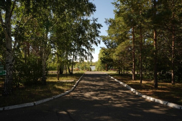 Летний отдых под Омском: хвойный лес, река, комфорт и белочки
Летний отдых под Омском: хвойный лес, река, комфорт и белочки