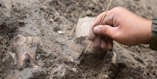 "Ощутить пульс жизни Средневековья". Омские студенты завершили раскопки в Приобье