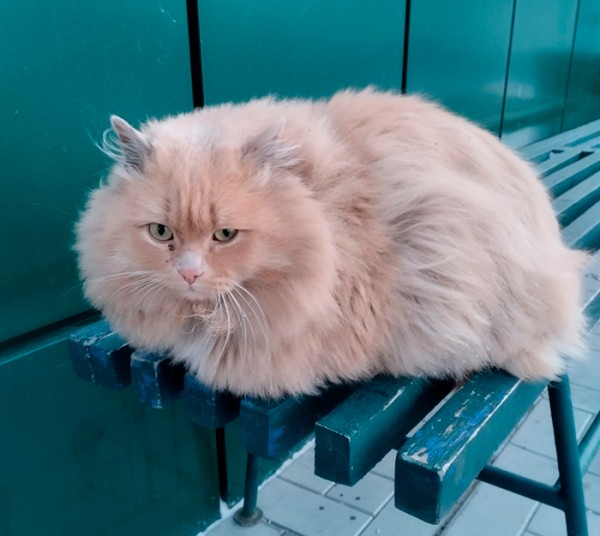 Омский внутренний туризм: выходные в краю пяти озер
Омский внутренний туризм: выходные в краю пяти озер