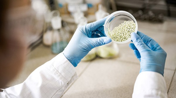 
									На омском катализаторном заводе внедрят цифровой контроль безопасности 