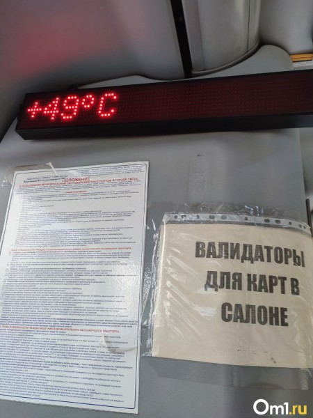 Режим ЧС ввели в Омской области из-за аномальной жары и суховея