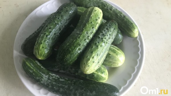 На минералке с газом: необычный и вкусный рецепт приготовления малосольных огурцов
