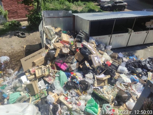 
									Это бьет по всем: в Омске процветает «черный» мусорный бизнес  