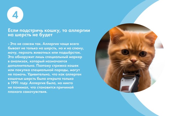 Правда и мифы об аллергии