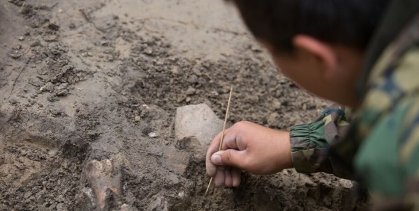 На расконсервированном кургане обнаружены первые находки
