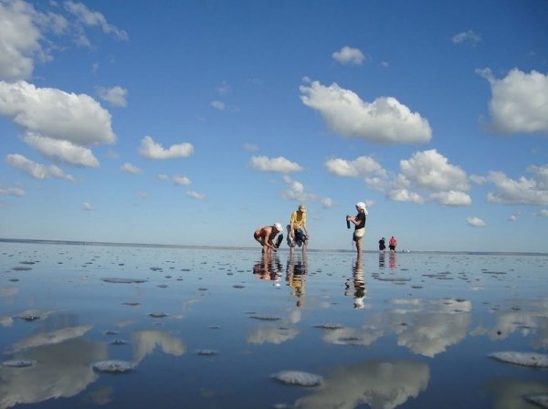 
									Омичи все чаще выбирают туры выходного дня по необычным местам 