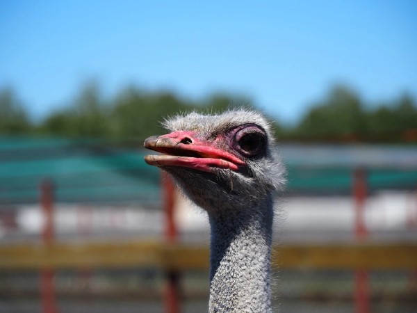 
									Омичи все чаще выбирают туры выходного дня по необычным местам 