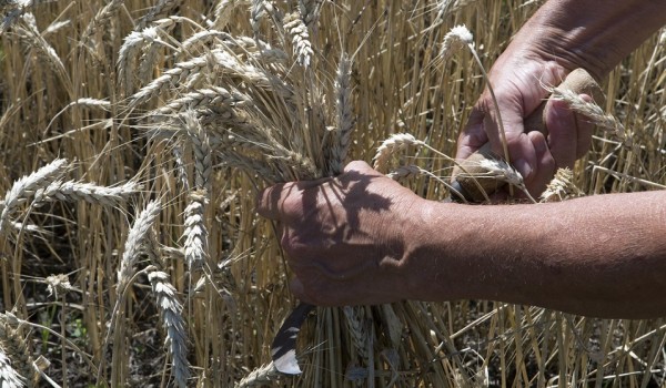 Актеры, зоотехники и «Крылья Ростеха»: где будут учиться выпускники омских школ?
Актеры, зоотехники и «Крылья Ростеха»: где будут учиться выпускники омских школ?