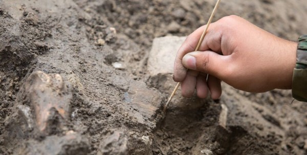 В Омской области расконсервировали древний курган