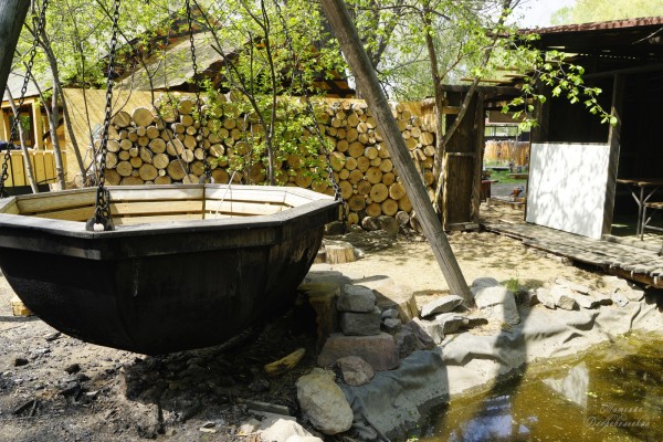 
									Пляжи, бани, шашлыки: где в Омске отдохнуть по-загородному? 