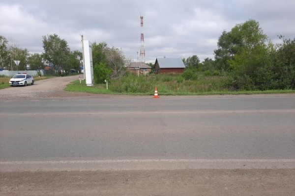 
									В Омской области ищут водителя, сбившего пару на велосипедах 