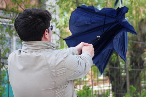 
									В Омске ожидается усиление ветра 