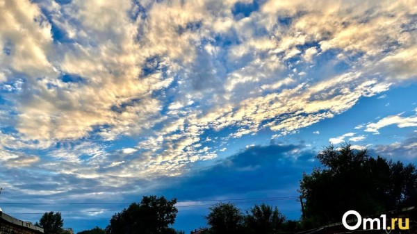 В Омске объявили предупреждение из-за штормового ветра и града