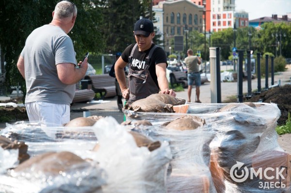 Бюсты прославленных омских спортсменов привезли на Аллею Олимпийских чемпионов