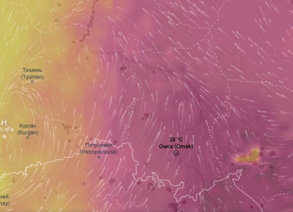 Вторая волна: после короткого похолодания в Омск снова придёт 35-градусная жара Вторая волна: после короткого похолодания в Омск снова придёт 35-градусная жара