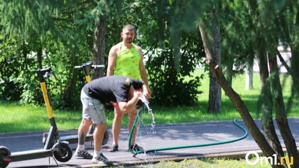 Режим ЧС ввели в Омской области из-за аномальной жары и суховея