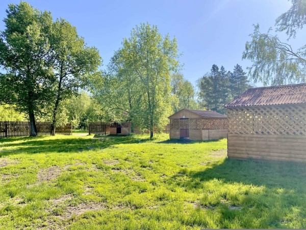 
									Пляжи, бани, шашлыки: где в Омске отдохнуть по-загородному? 