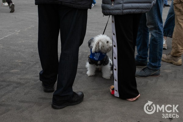 Порядок во всём. "Авангард" организовал в Омске масштабный субботник