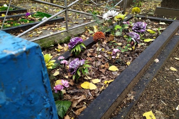 
									Омич прогуливался по кладбищу и украл телефон 