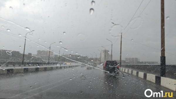 Омичей ждёт гроза и сильный ветер 30 августа Омичей ждёт гроза и сильный ветер 30 августа