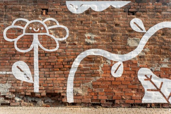 Омские граффитисты создали мурал без капли краски