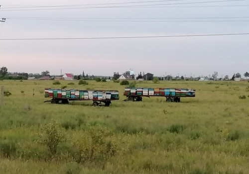 Администрация Калачинска оперативно отреагировала на статью БК55 про бизнес-халяву Администрация Калачинска оперативно отреагировала на статью БК55 про бизнес-халяву