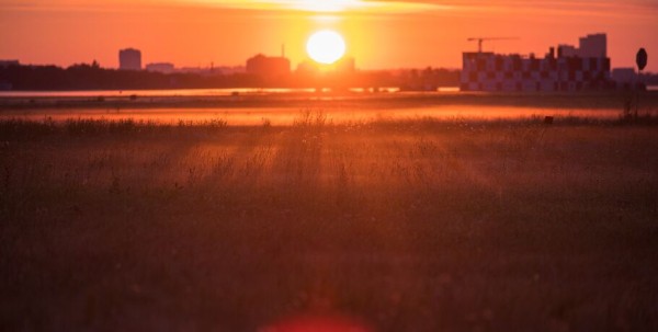 Июль, пока! Что вы пропустили за месяц, если не следите за омскими новостями