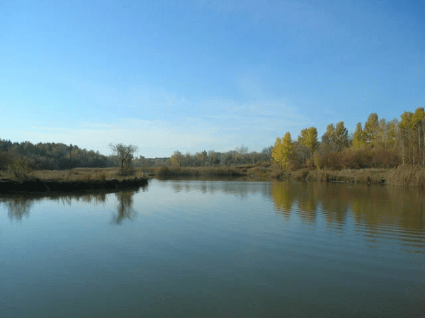 
									У озера рядом с санаторием «Cronwell Park Ника» прошел пикник для омичей 