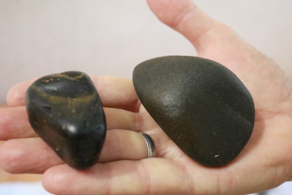 
									Зубы мамонтов, челюсть носорога, галька с Полярного Урала: исторические находки делают прямо в Омске   [ФОТО]  