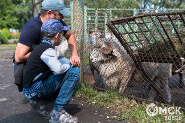 "Благоприятные моменты мы создаём себе сами". Как не сожалеть об упущенном лете